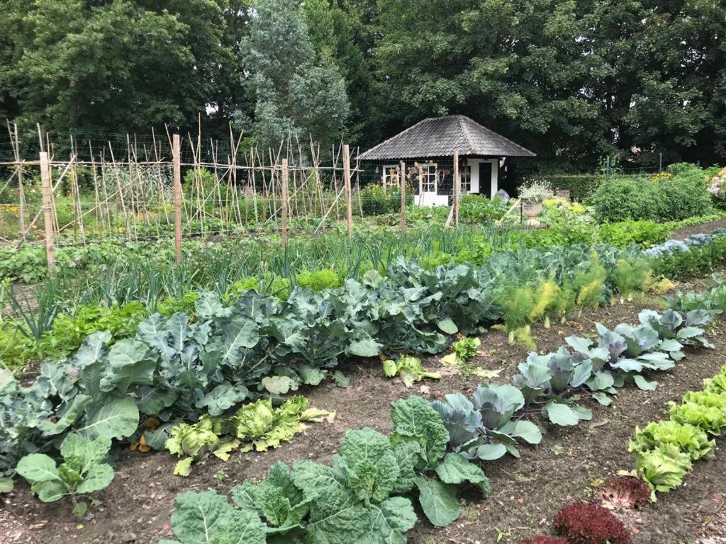 Het Wagenhuis Loon op Zand Esterno foto