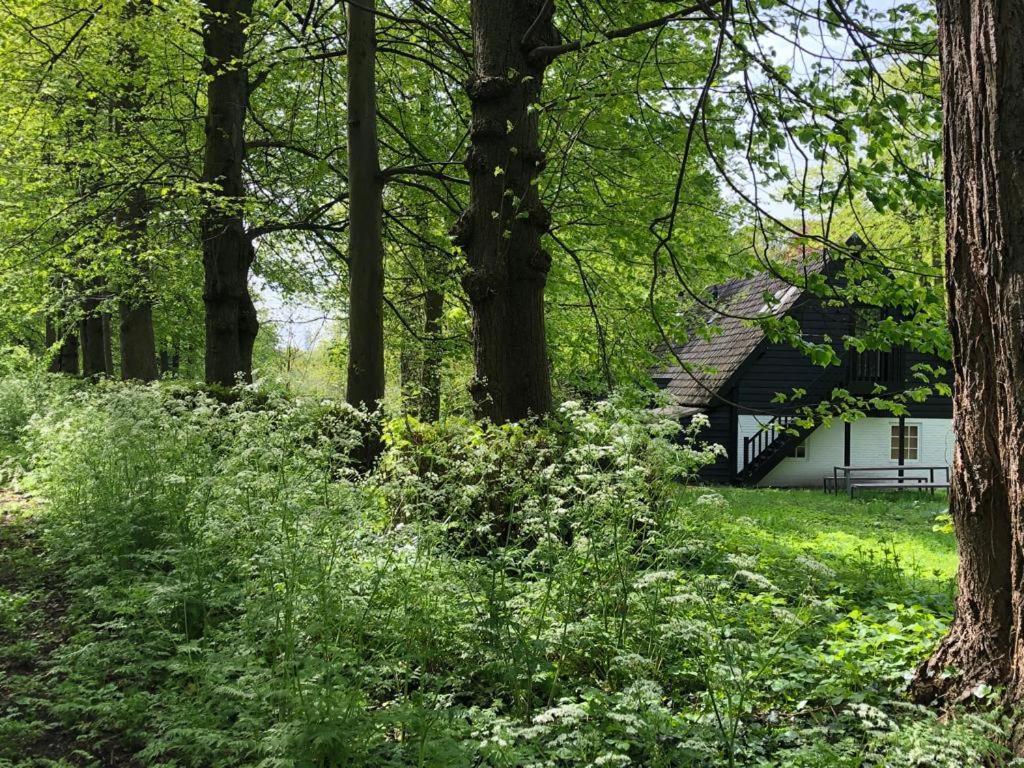 Het Wagenhuis Loon op Zand Esterno foto